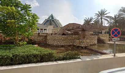 وردة الصحراء - أم القيوين - +971 4 324 6782