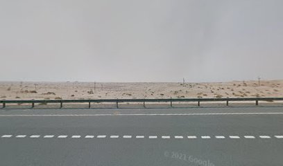 LoNMG Executive Search and Consulting LLC - الشارقة - +971 4 452 5923