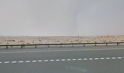 وكالة توظيف ستيوارد ذ م م - الشارقة - +971 52 687 1217