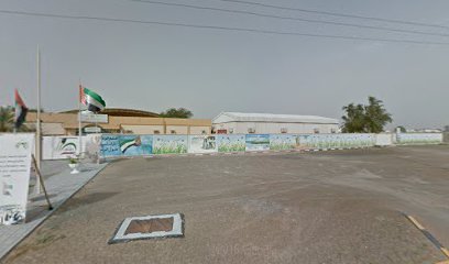 مدرسة الوادي للتعليم الأساسي - الشارقة -