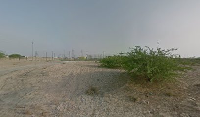 العربي - الشارقة -